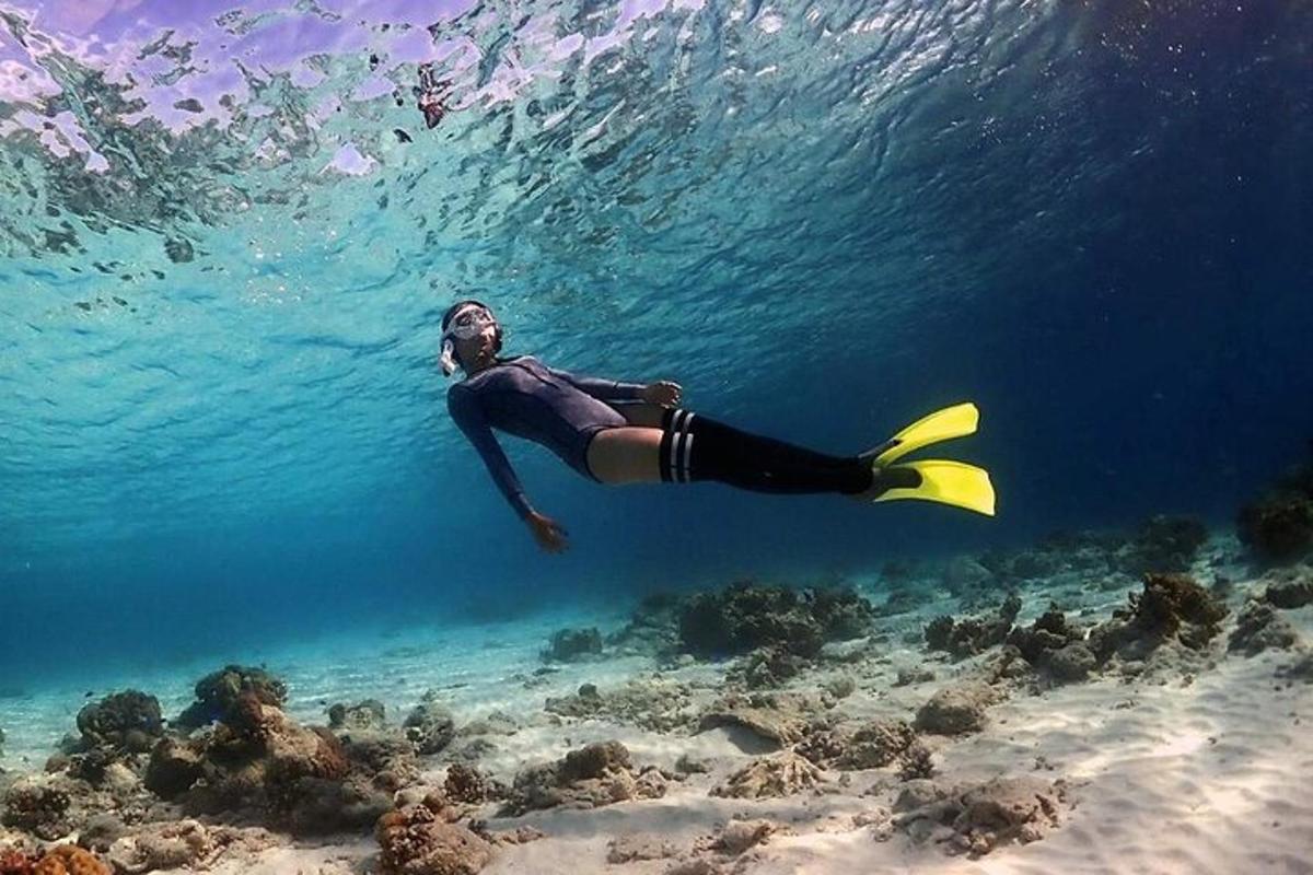 Una persona está nadando en el océano sobre un arrecife.