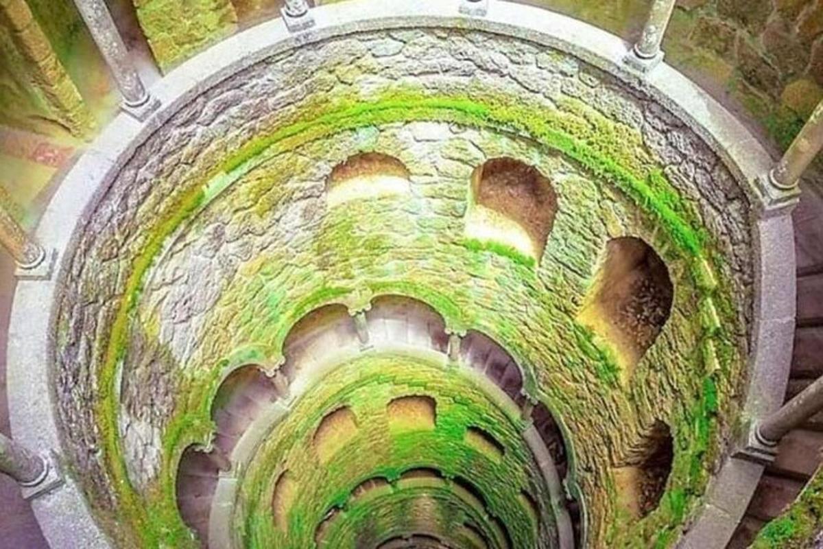una vista di un tunnel con muschio verde sopra