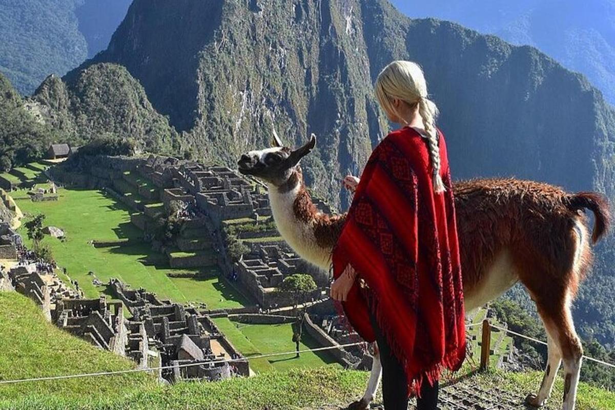 seorang wanita berdiri di sebelah llama di atas gunung