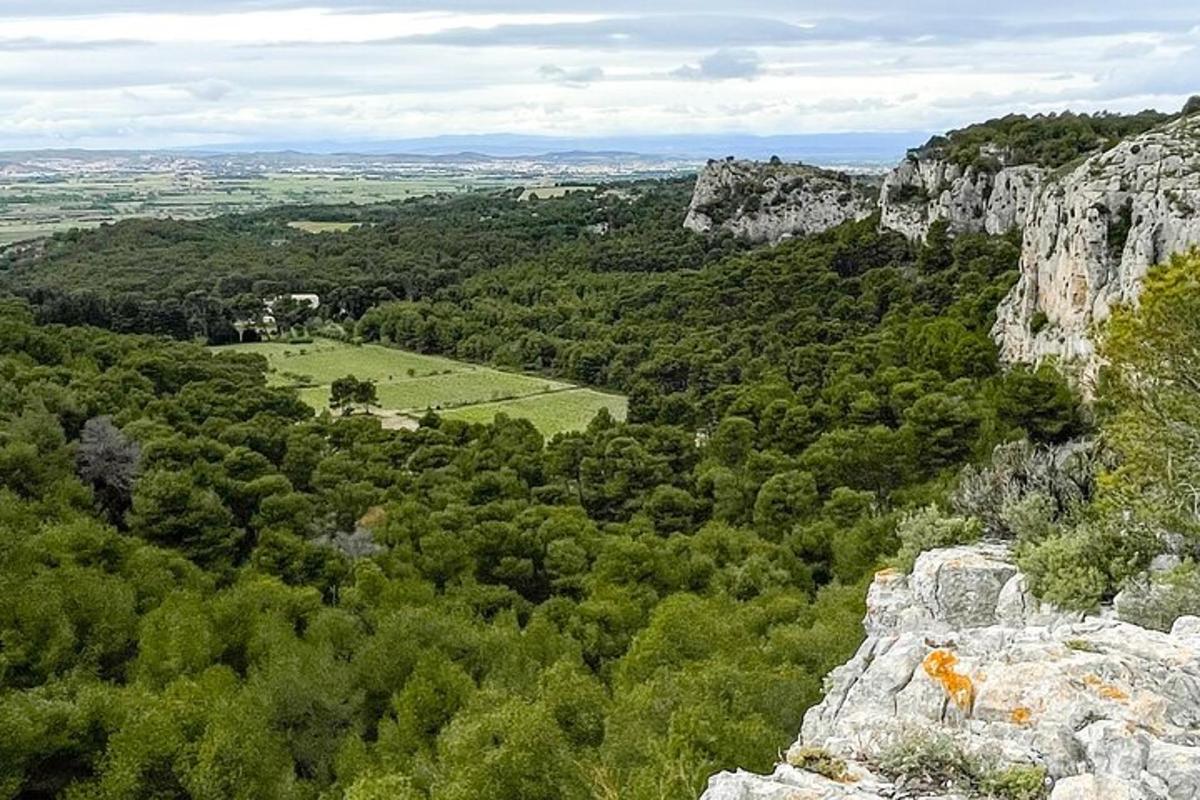 Foto 7 de l'atracció turística