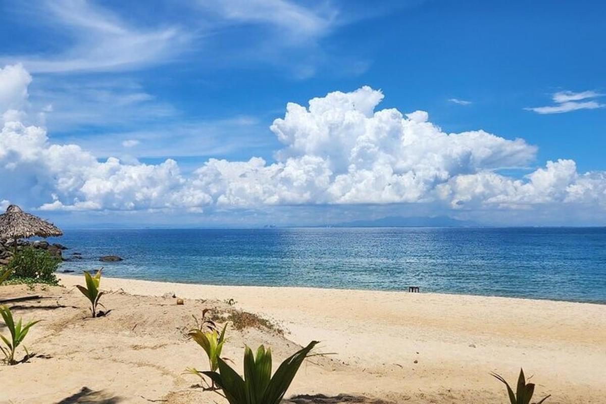 peščena plaža z oceanom v ozadju