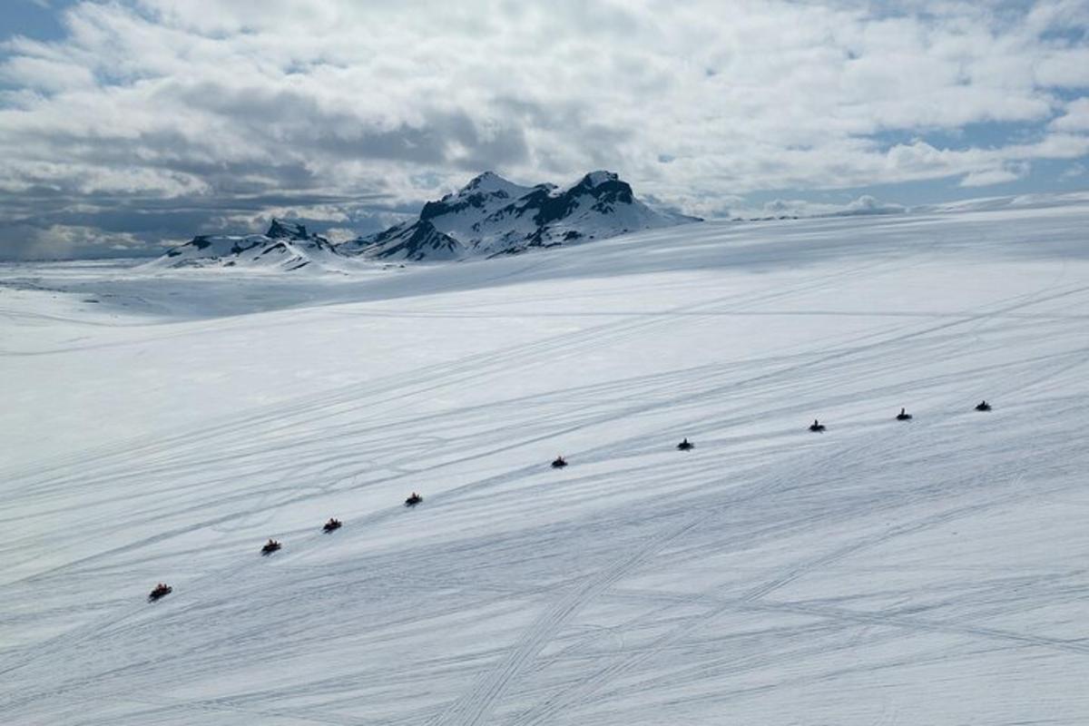 un gruppo di animali che camminano lungo un pendio innevato