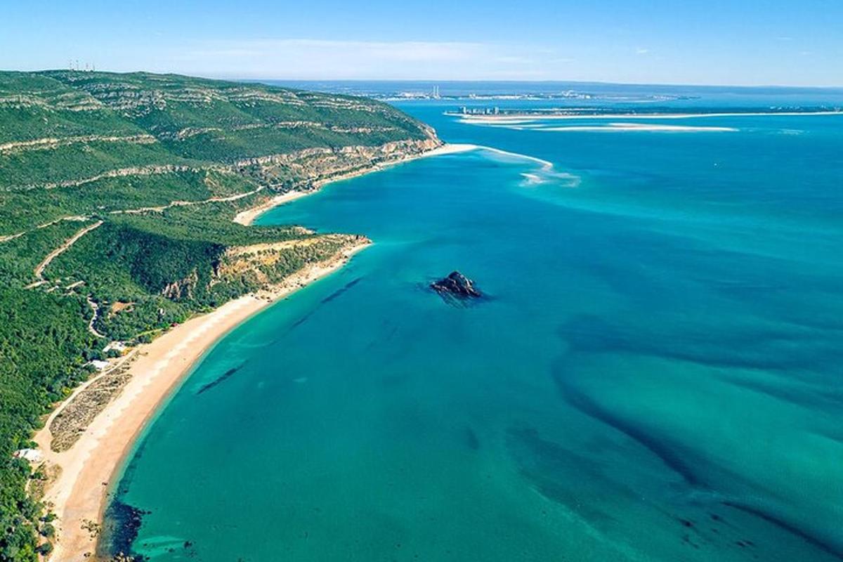 una vista aérea de una playa y el océano