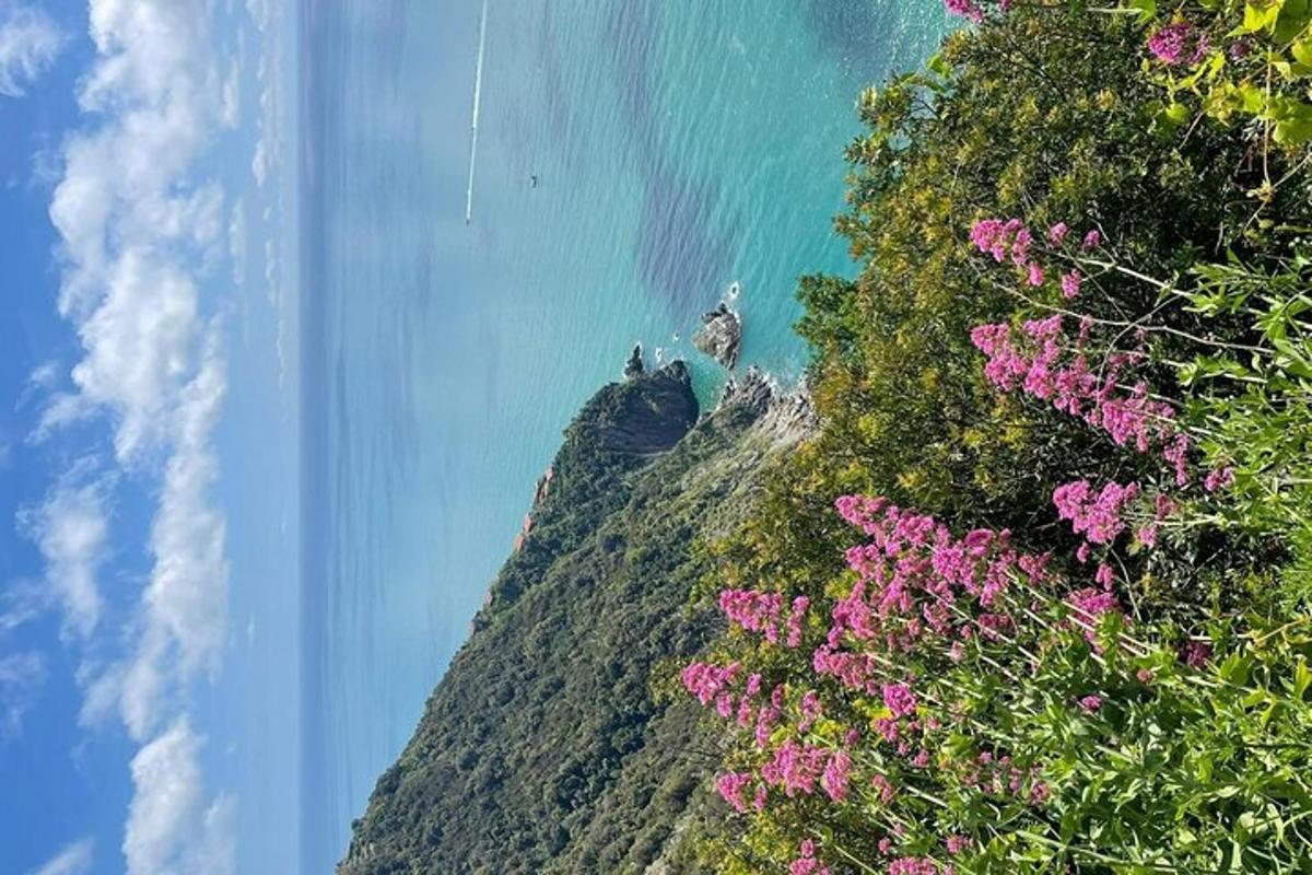 Fotografia da atração 5