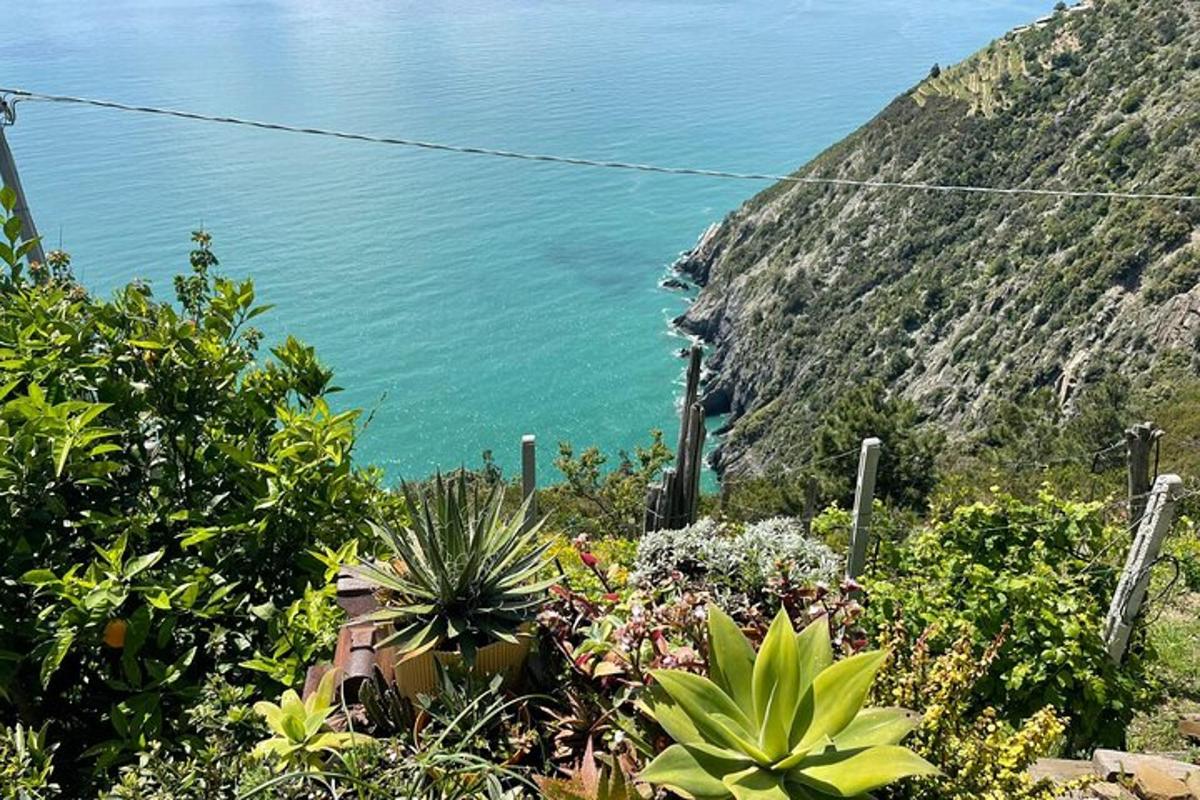 Lankytinos vietos ar pramogos nuotrauka numeris 6