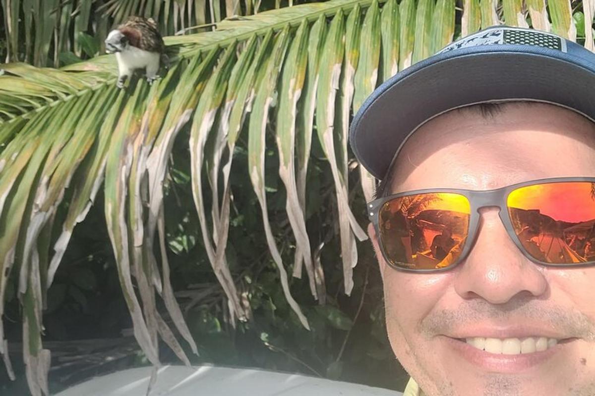 muž se slunečními brýlemi a kočka sedící na palmě