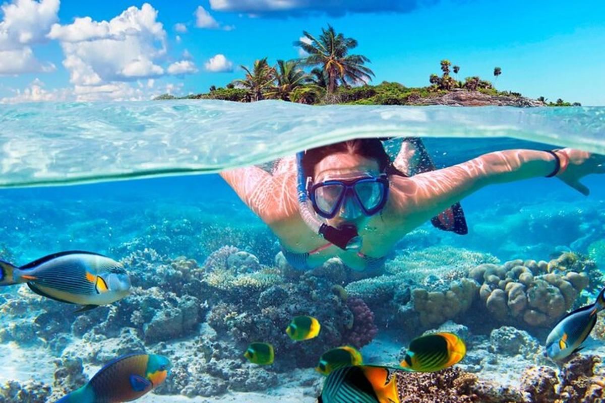 o persoană care înoată în ocean cu pești
