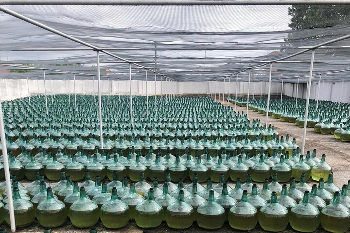 a large room filled with green glass bottles
