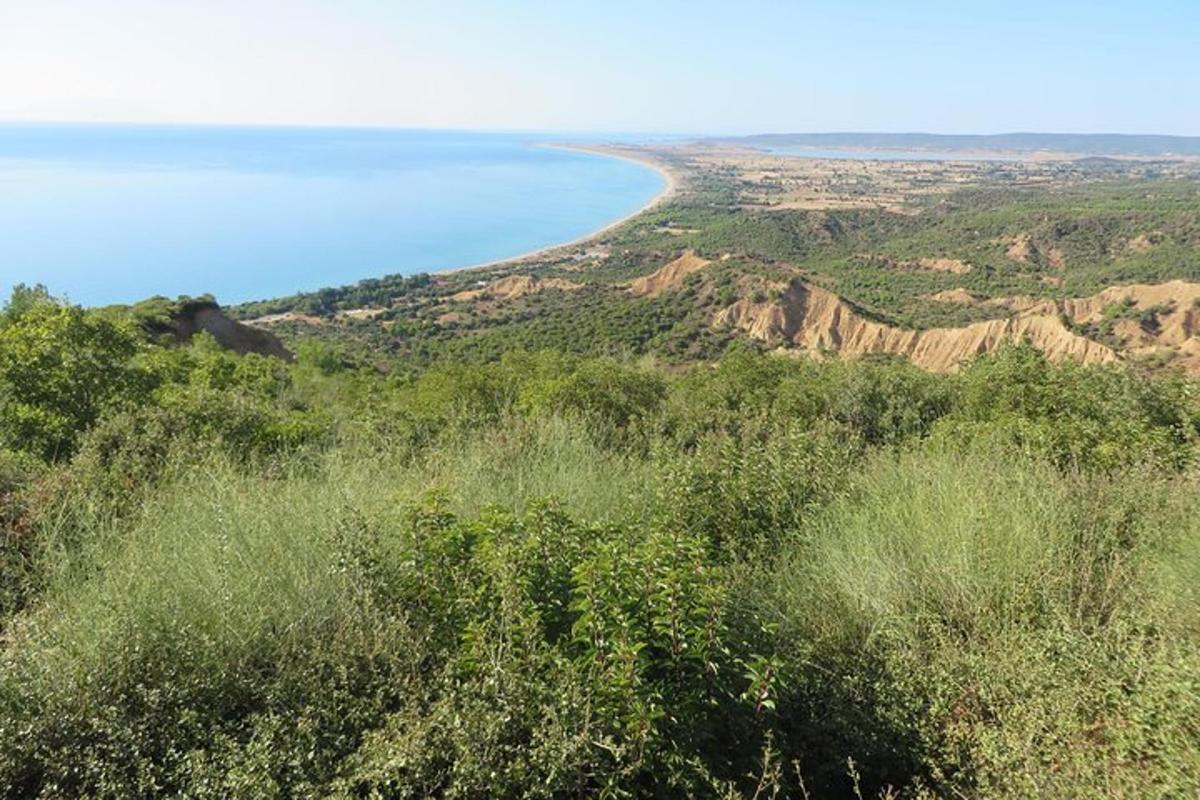 Φωτογραφία αξιοθέατου 2