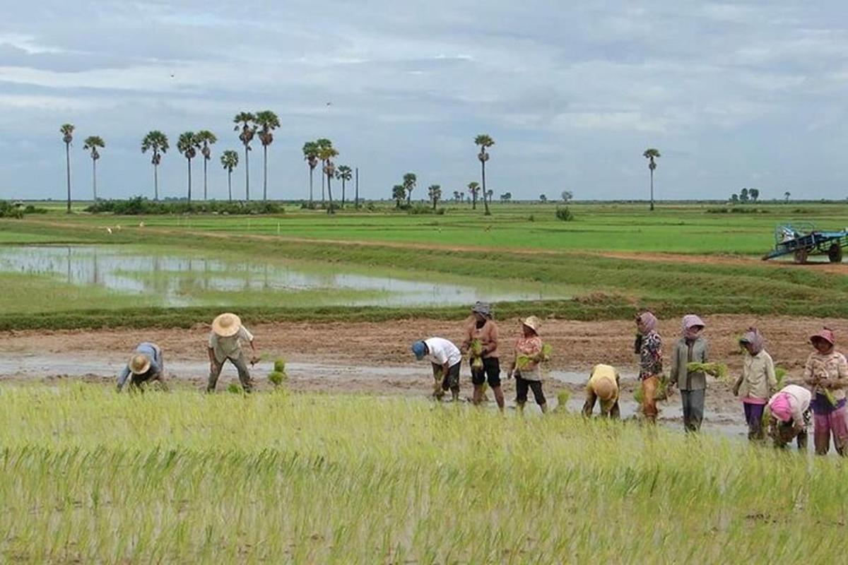 um grupo de pessoas trabalhando em um campo