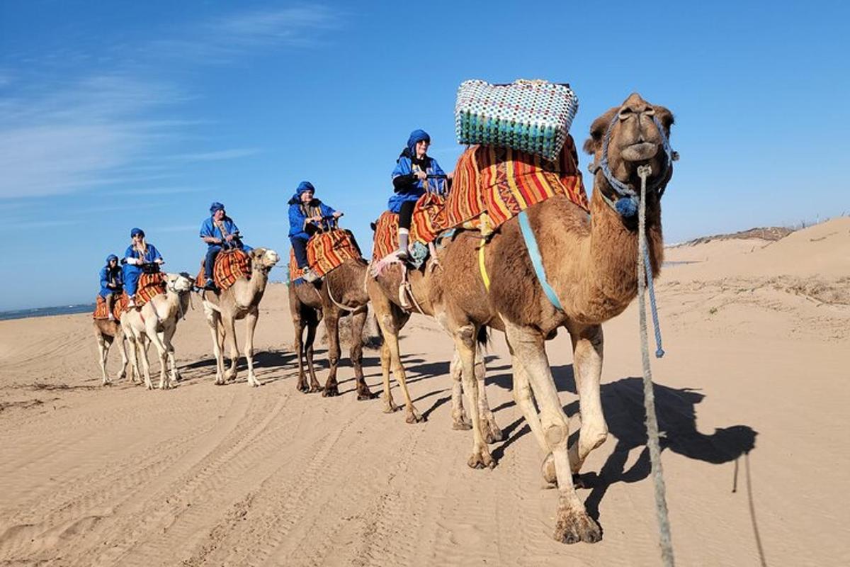a group of people on camels in the desert