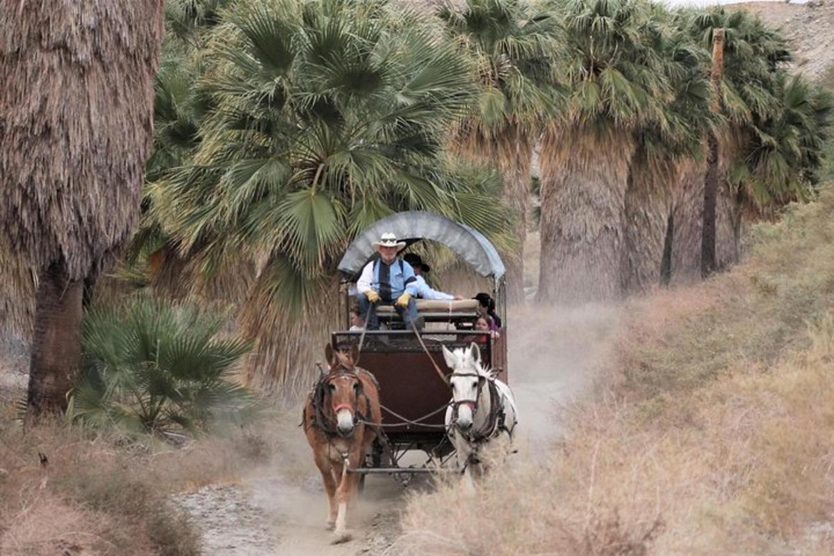a man riding a horse drawn carriage down a dirt road