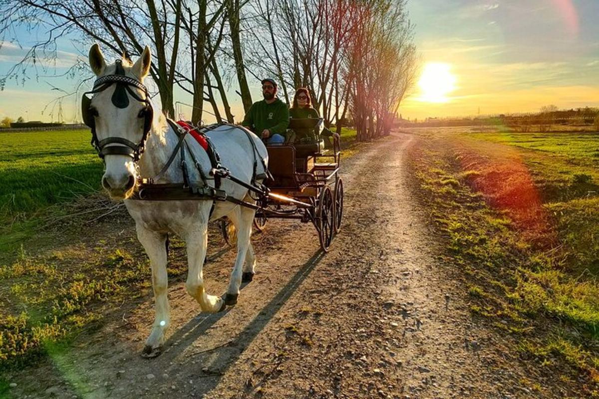 hestvagn á malarvegi