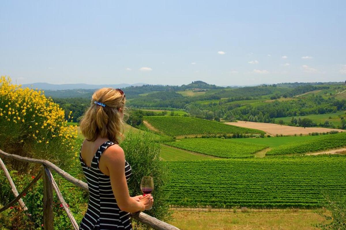 a woman standing on a fence holding a glass of wine