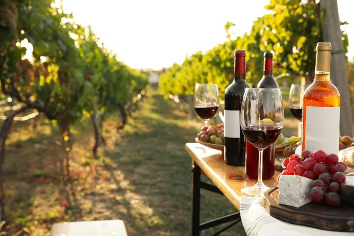 Una mesa con botellas de vino y copas en un viñedo.