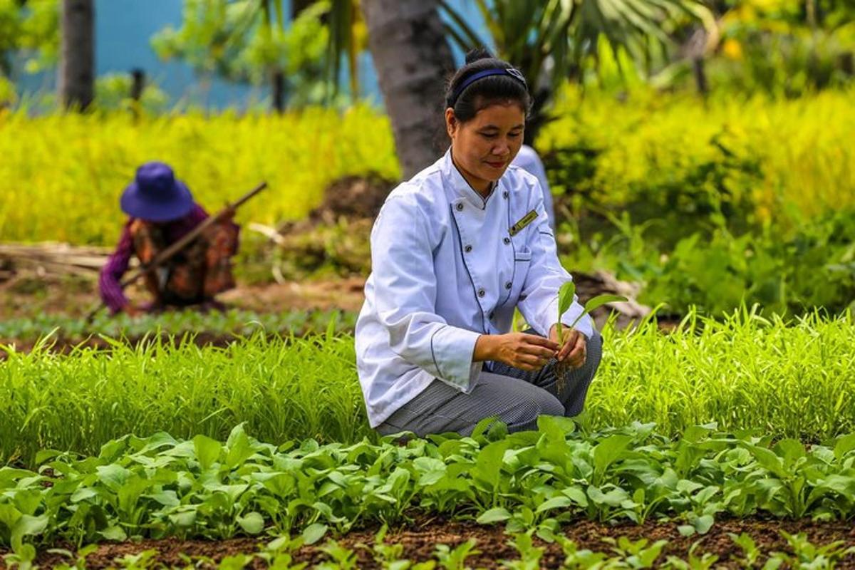 una dona asseguda a terra en un camp de plantes