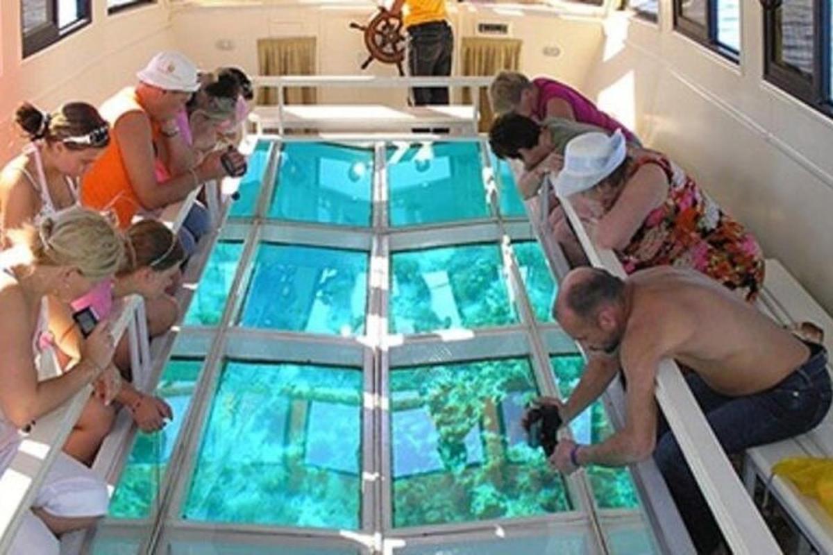 un grup de oameni pe un vas de croazieră care se uită la o piscină de sticlă