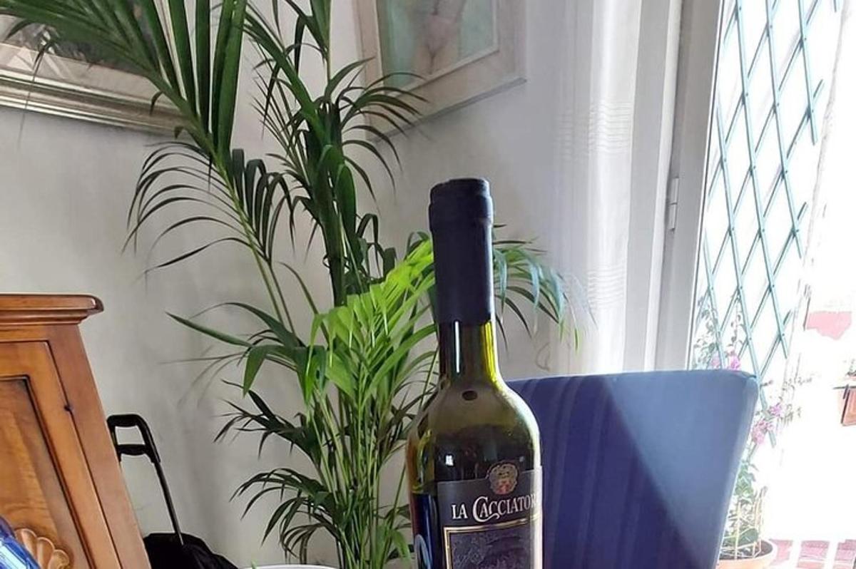 taime kõrval istuv veinipudel