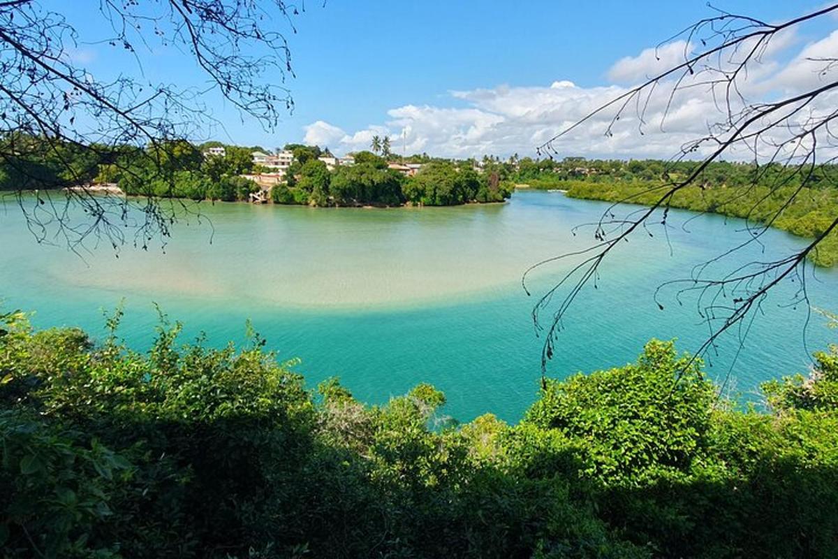 una vista de un gran cuerpo de agua
