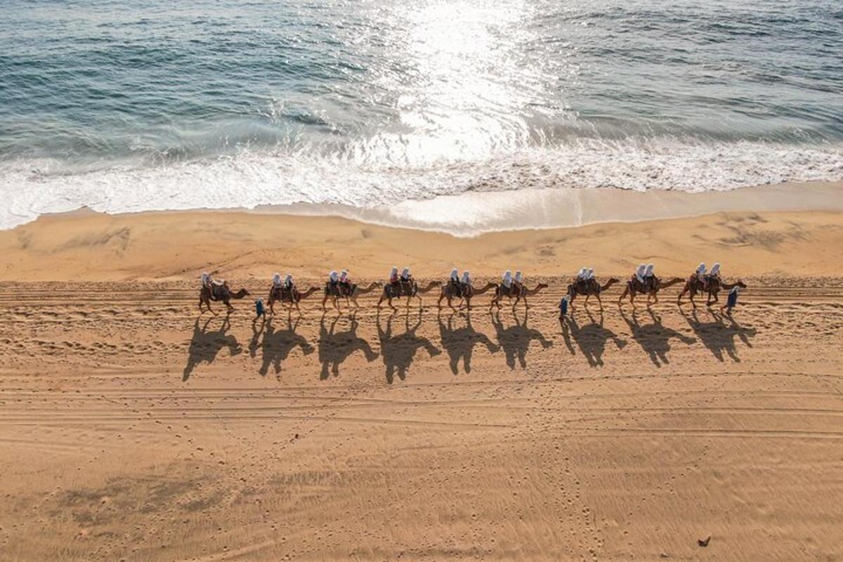 um grupo de pessoas andando a cavalo na praia