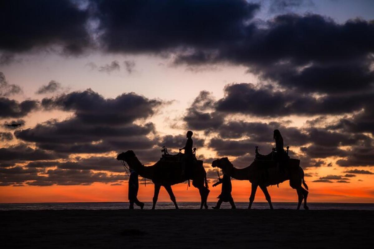 two people riding horses on the beach at sunset