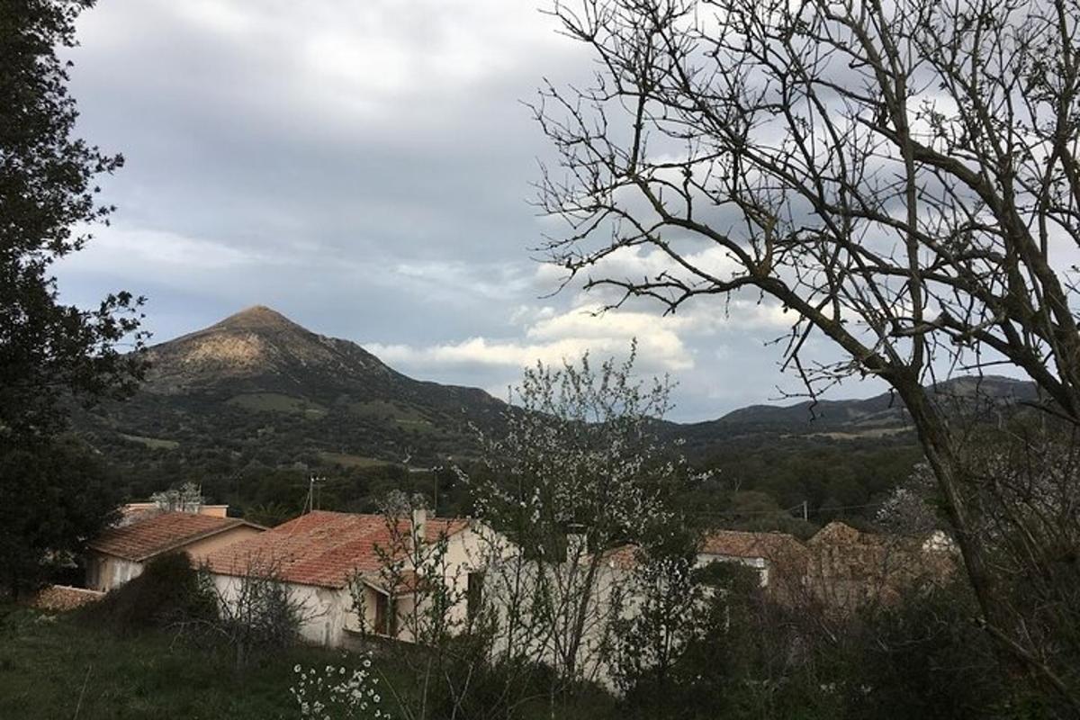 hora v dálce s domy a stromy