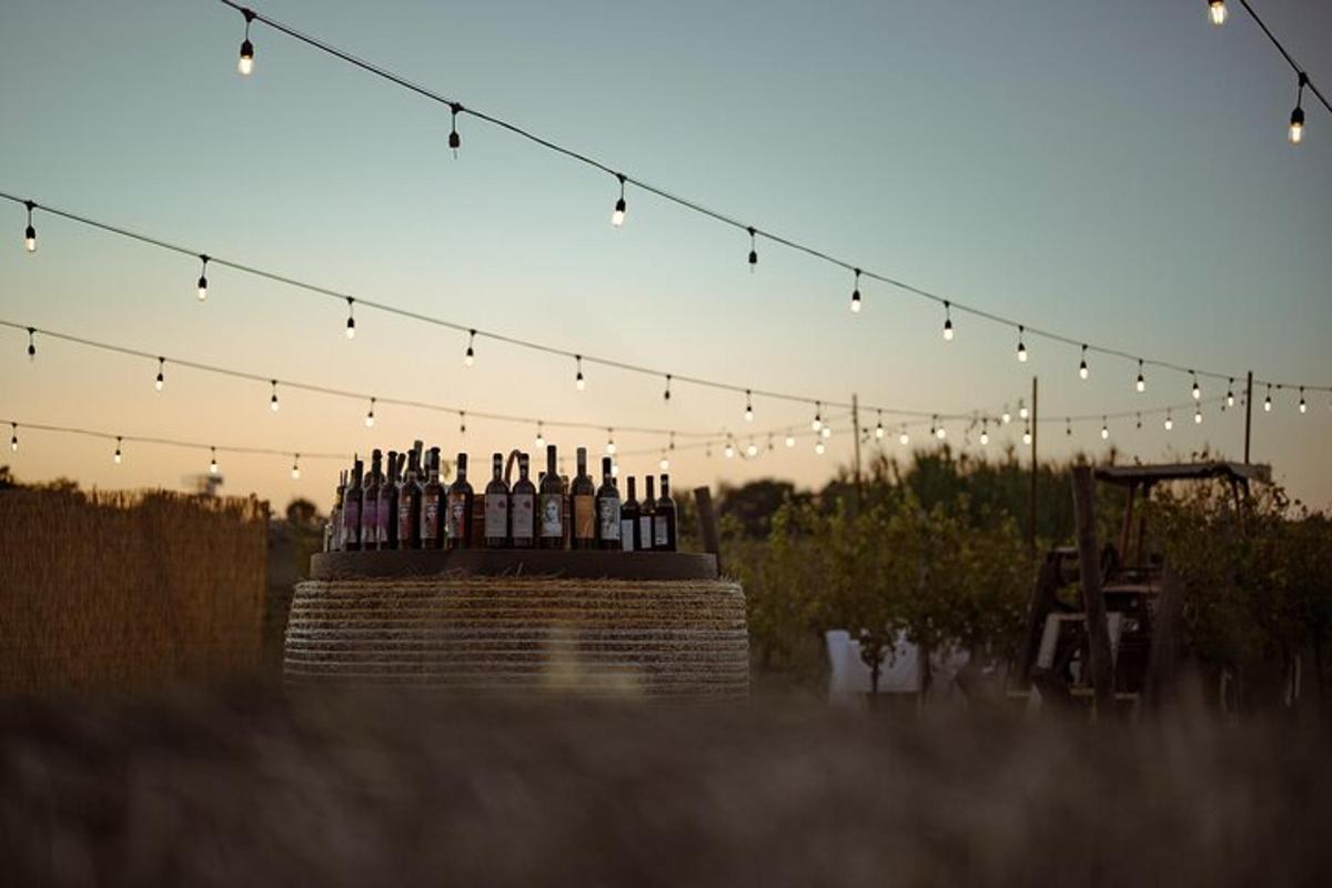 Un grupo de botellas de alcohol colocadas encima de una pared de ladrillos con luces.