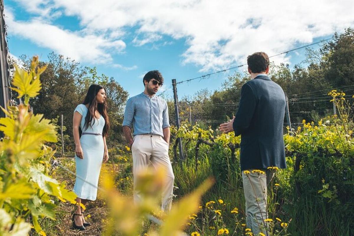 a group of three people walking through a field