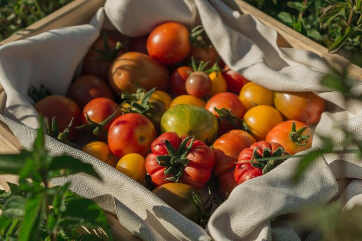 Lankytinos vietos ar pramogos nuotrauka numeris 5