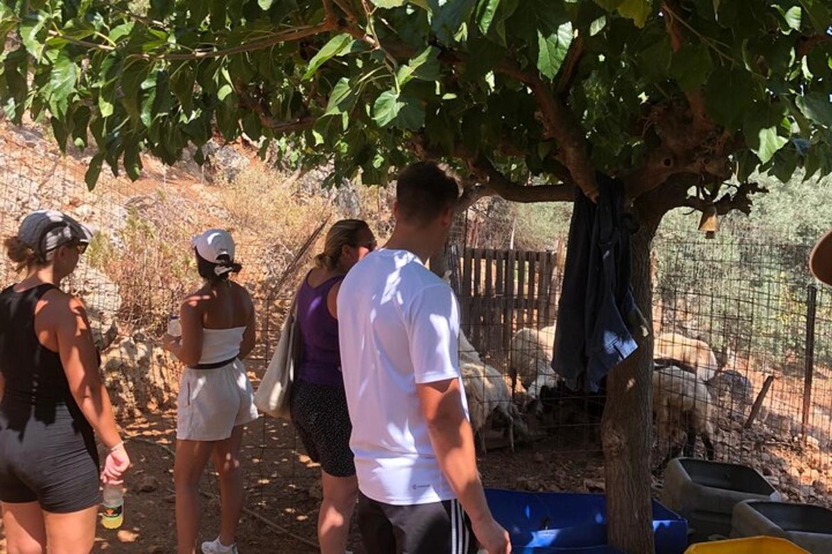 un gruppo di persone in piedi attorno a un albero