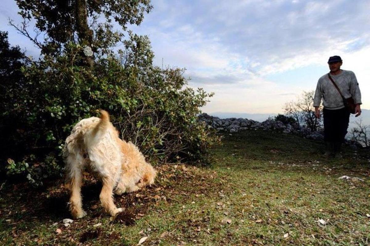 Fotografia da atração 2