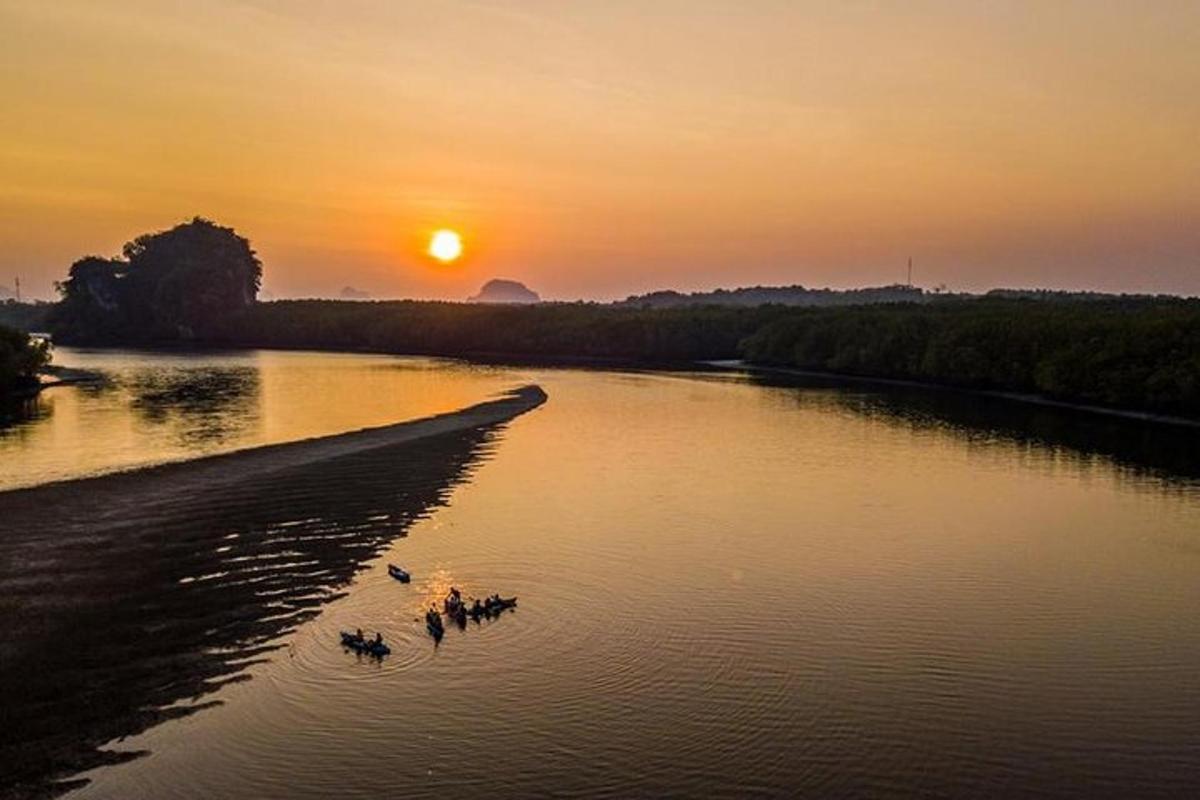 sekumpulan itik di sungai pada waktu matahari terbenam