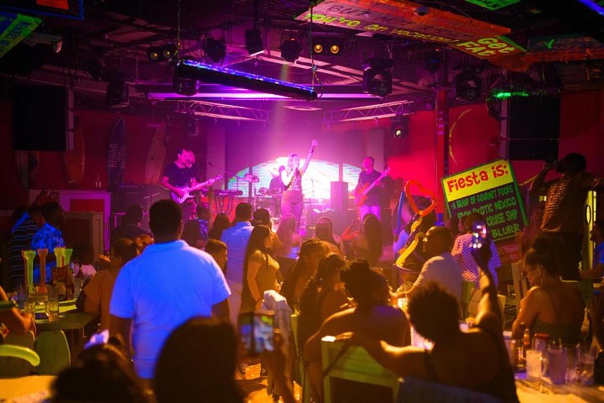 una folla di persone che guarda una band in un concerto