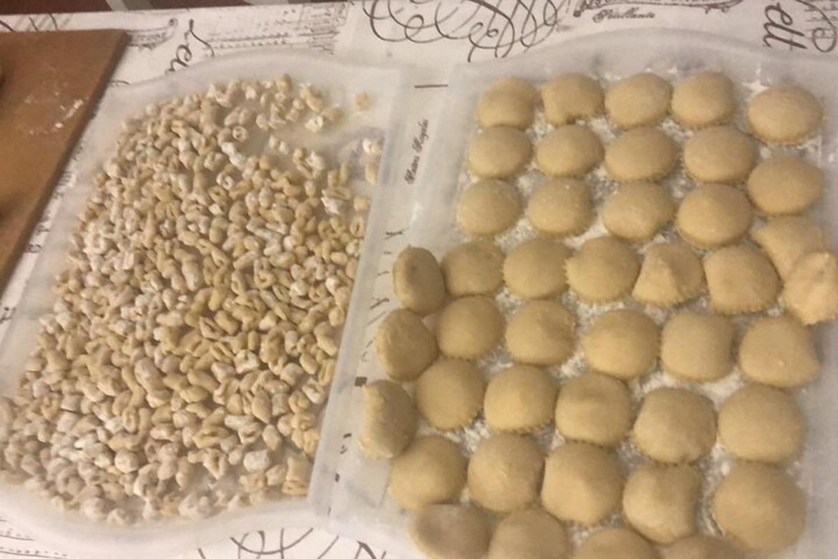 un recipient de plàstic ple de diferents tipus d'aliments