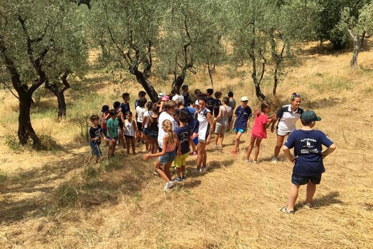 a group of people walking down a hill with trees
