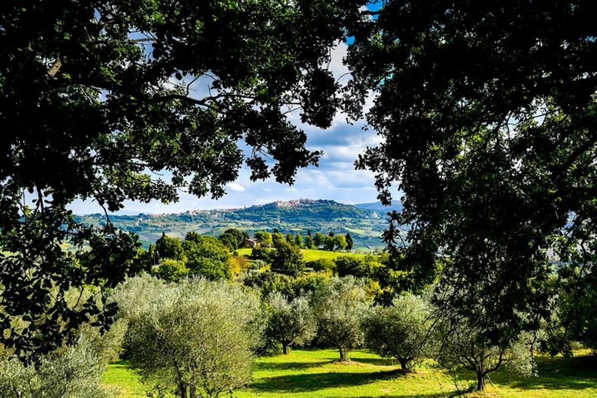 un campo verde con alberi e montagne in lontananza