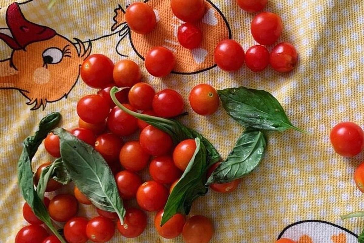 um grupo de tomates em uma mesa com um pássaro