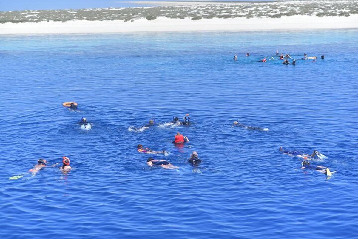 Lankytinos vietos ar pramogos nuotrauka numeris 7