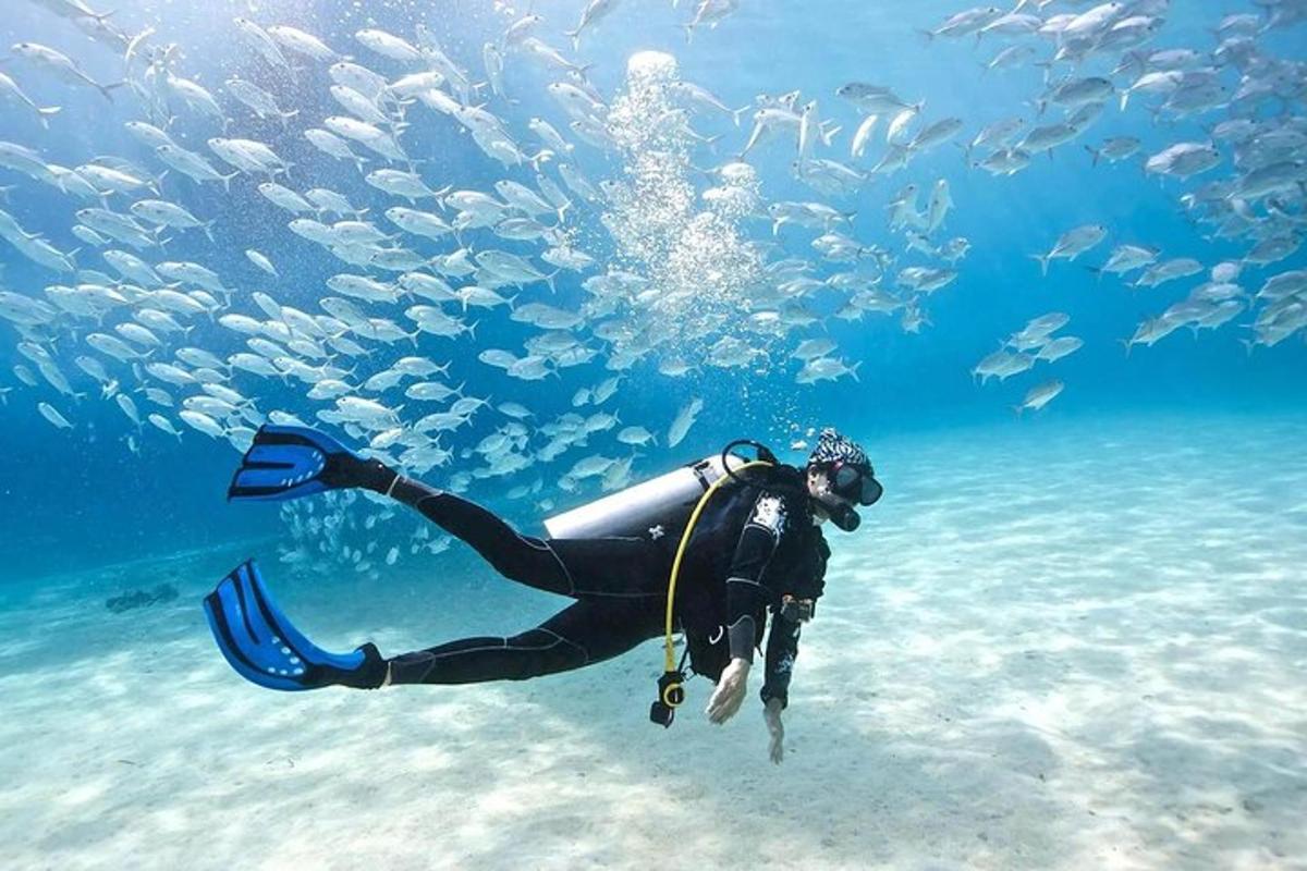 uma pessoa na água com um grupo de peixes