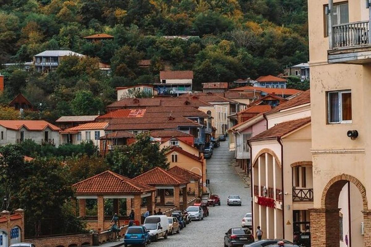 město s auty zaparkovanými na ulici s domy