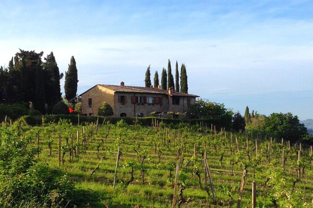 una casa su una collina con alberi e un campo
