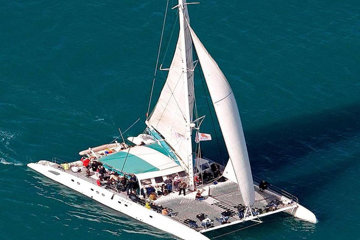 a group of people on a sail boat in the water