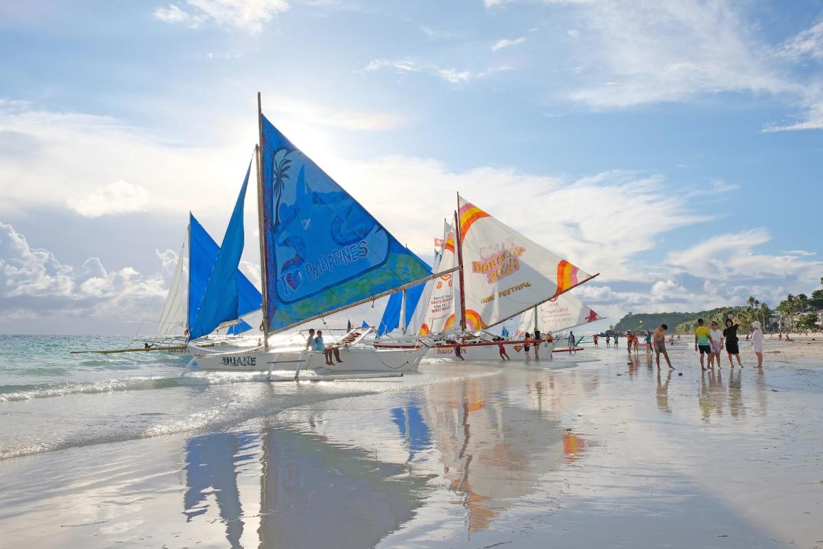 a group of sail boats on a beach