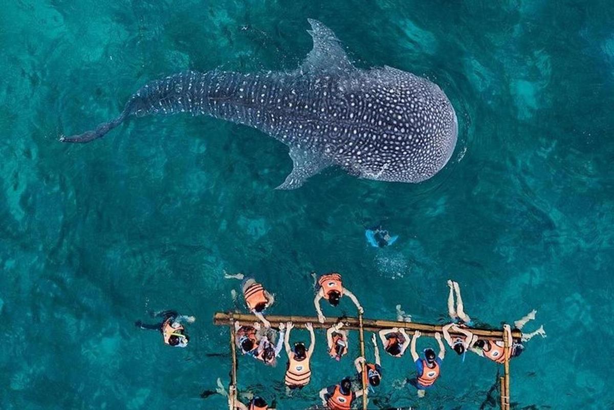 Fotografia da atração 1