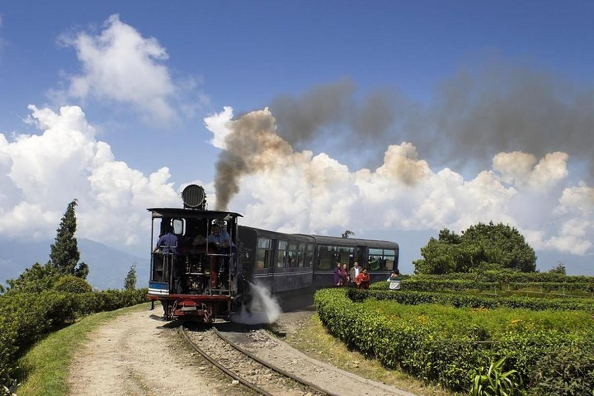 Photo de l’attraction numéro 4.