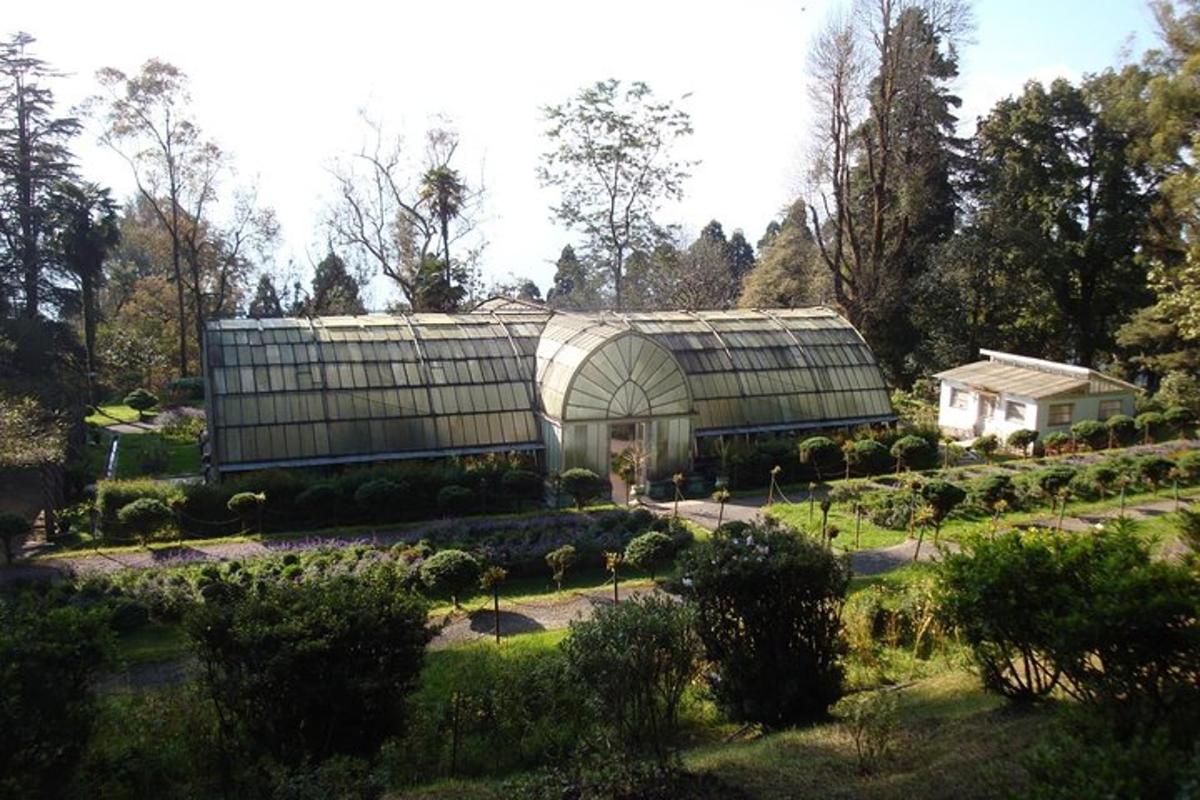 a large greenhouse in a garden with a house