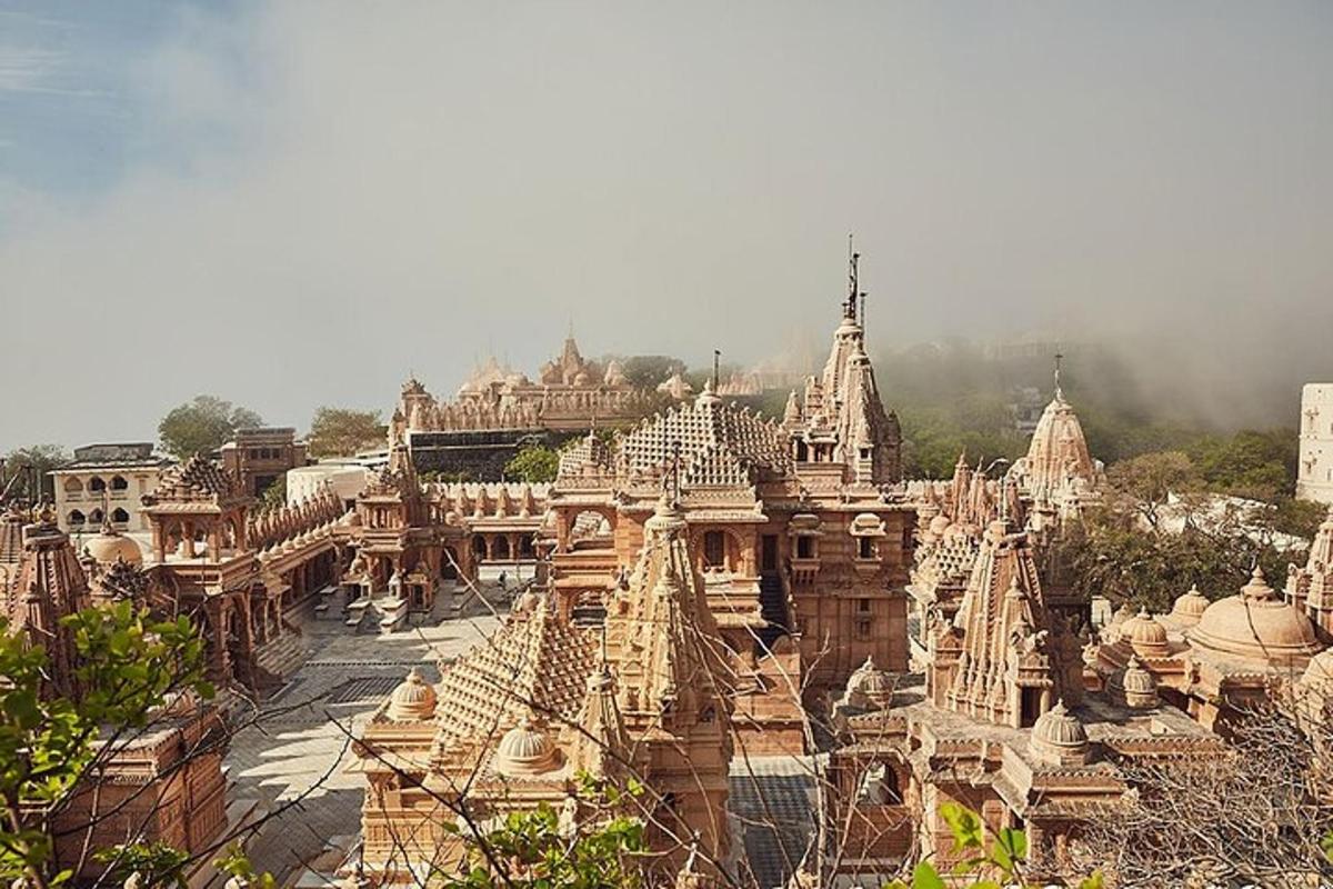 a large group of buildings with domes and roofs