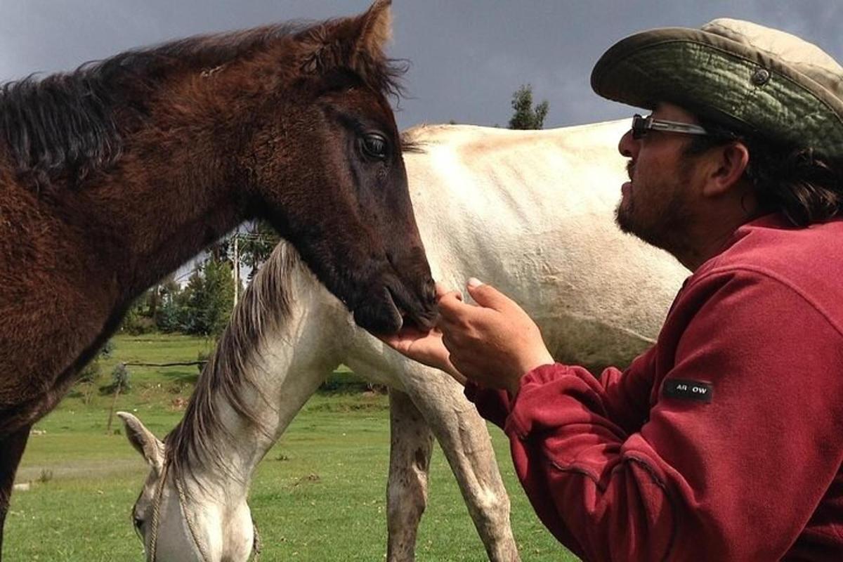 un uomo sta accarezzando un cavallo in un campo