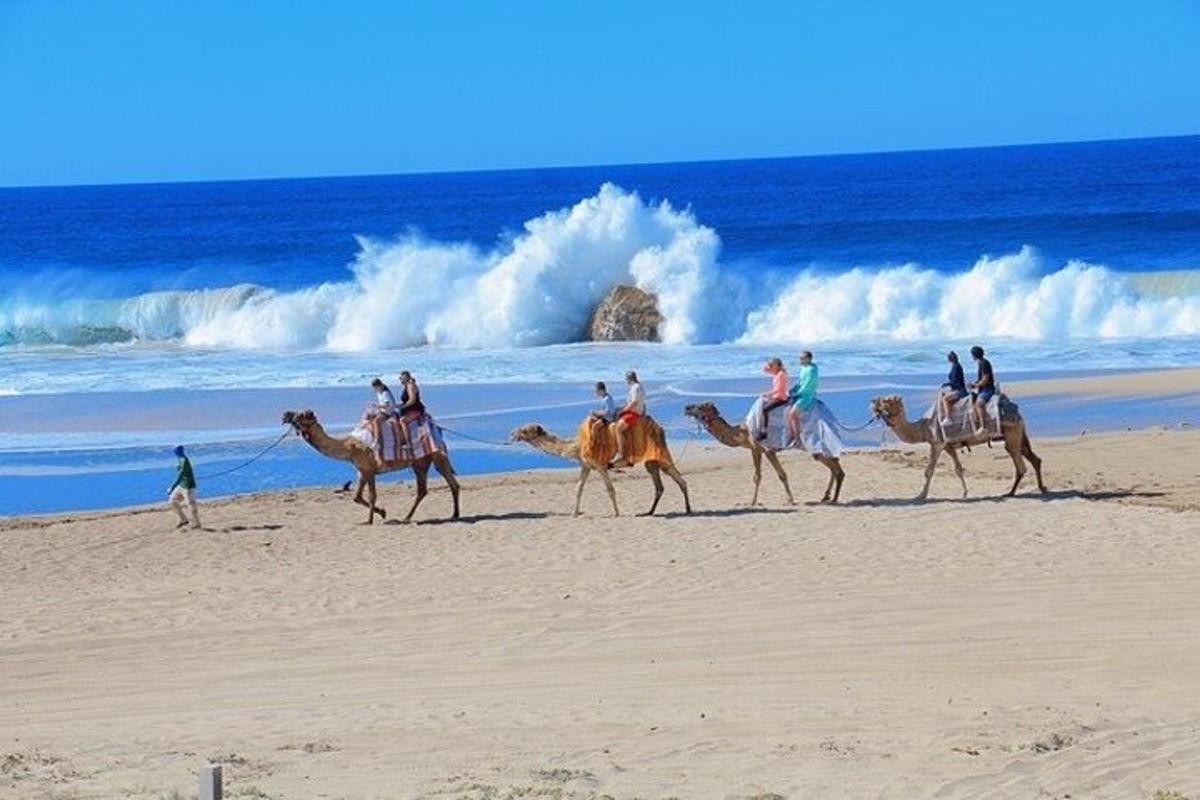 un gruppo di persone a cavallo di cammelli sulla spiaggia