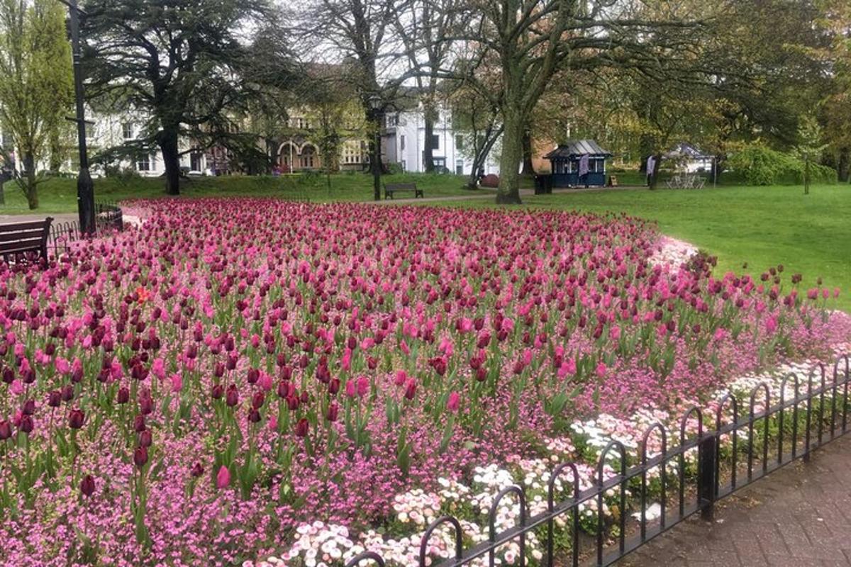 un campo di fiori rosa e bianchi in un parco